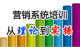 营销系统培训：从理论到实操